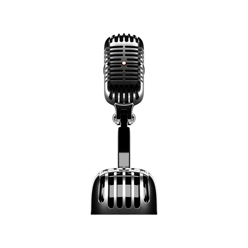 Recording Mic